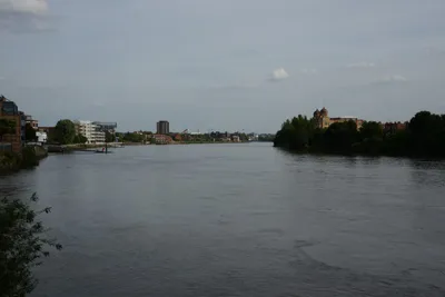 DSC_2484 (Large).JPG